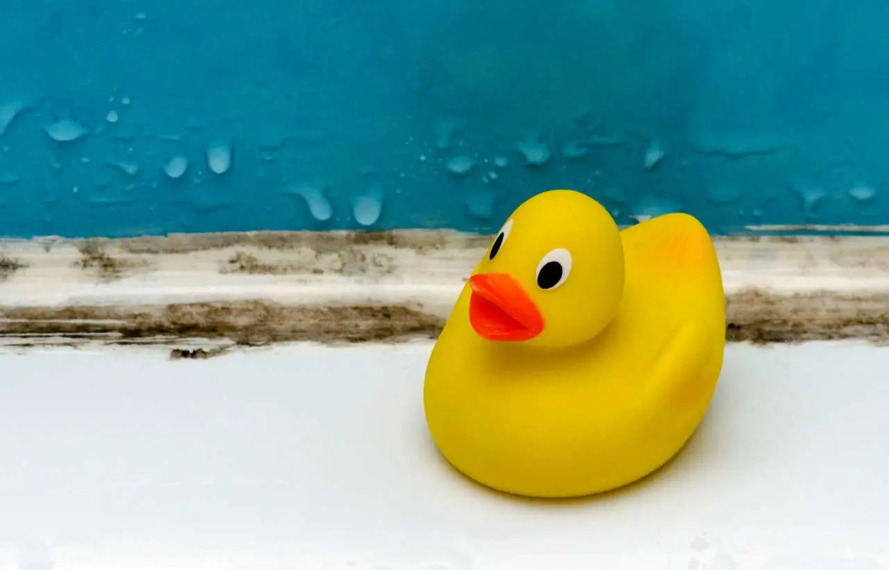 Come eliminare la muffa dalle guarnizioni