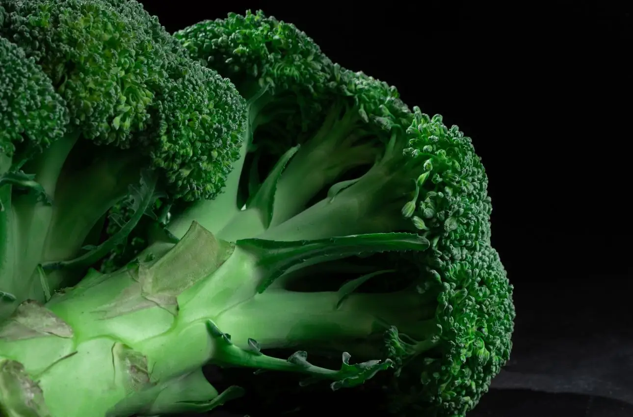 Il lato oscuro dei broccoli: ecco quando non li devi mangiare