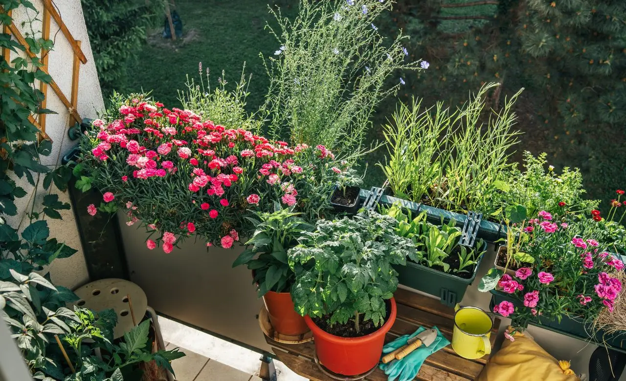 Come realizzare un orto verticale sul balcone
